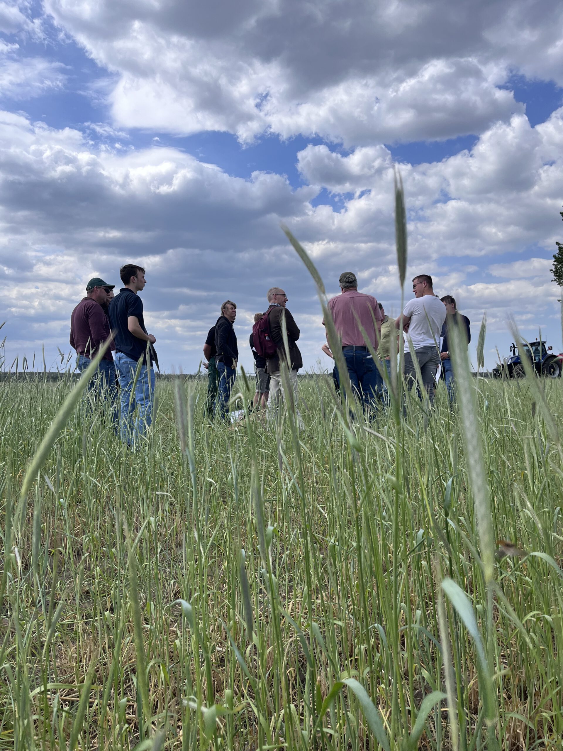 Team on a field walk
