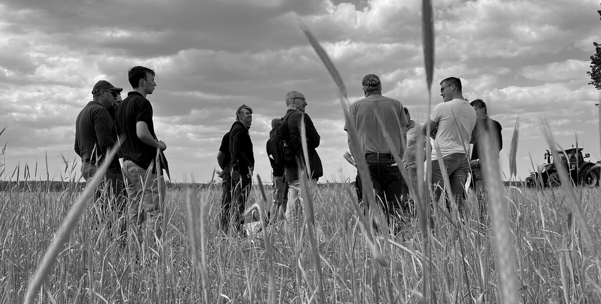 Participants of a Handelskolleg field day chatting in a cereal field