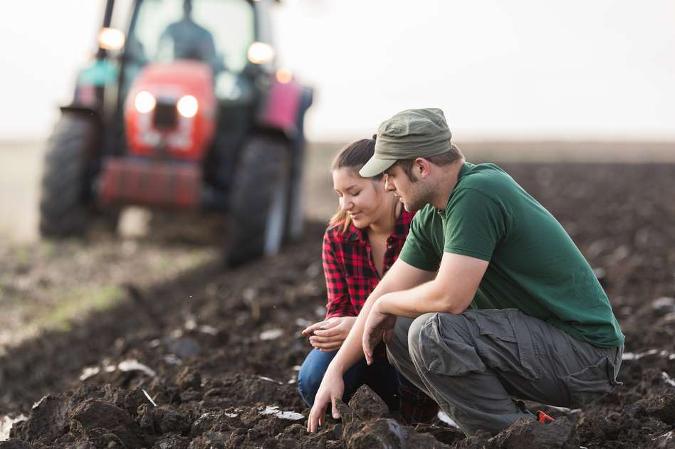 Handelskolleg consultant on a farm